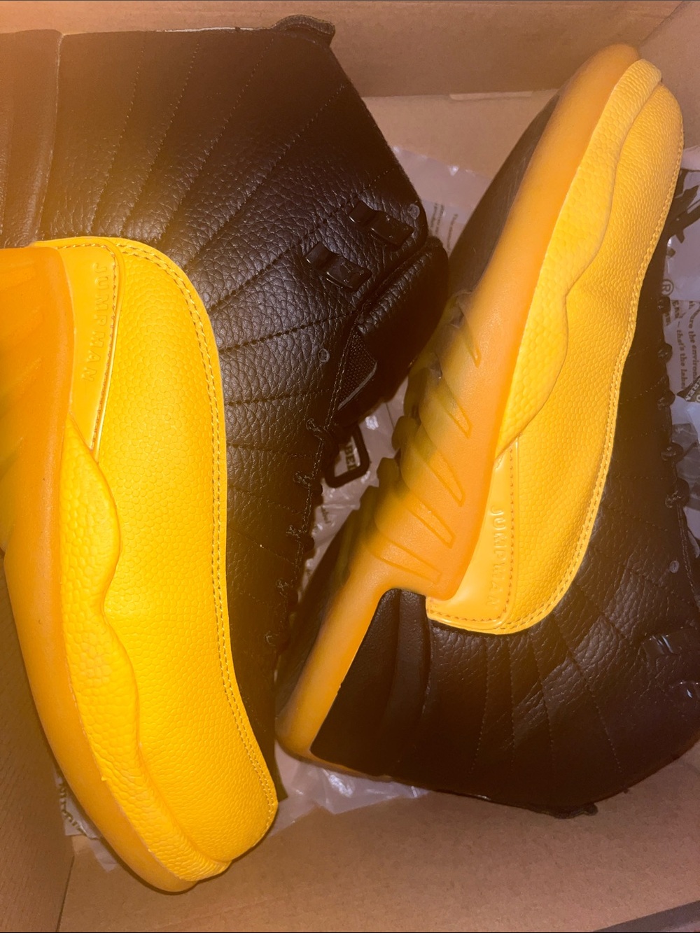 Jordan 12s shoes size 12